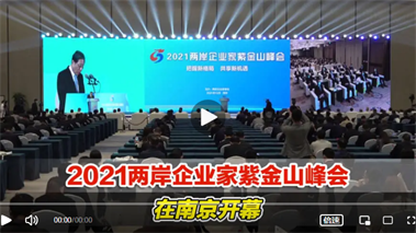 2021两岸企业家紫金山峰会在南京开幕