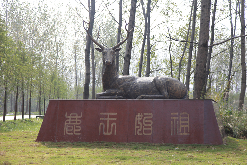 保护区内的神鹿像。